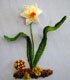 RSN Spring Daffodil Stumpwork Kit